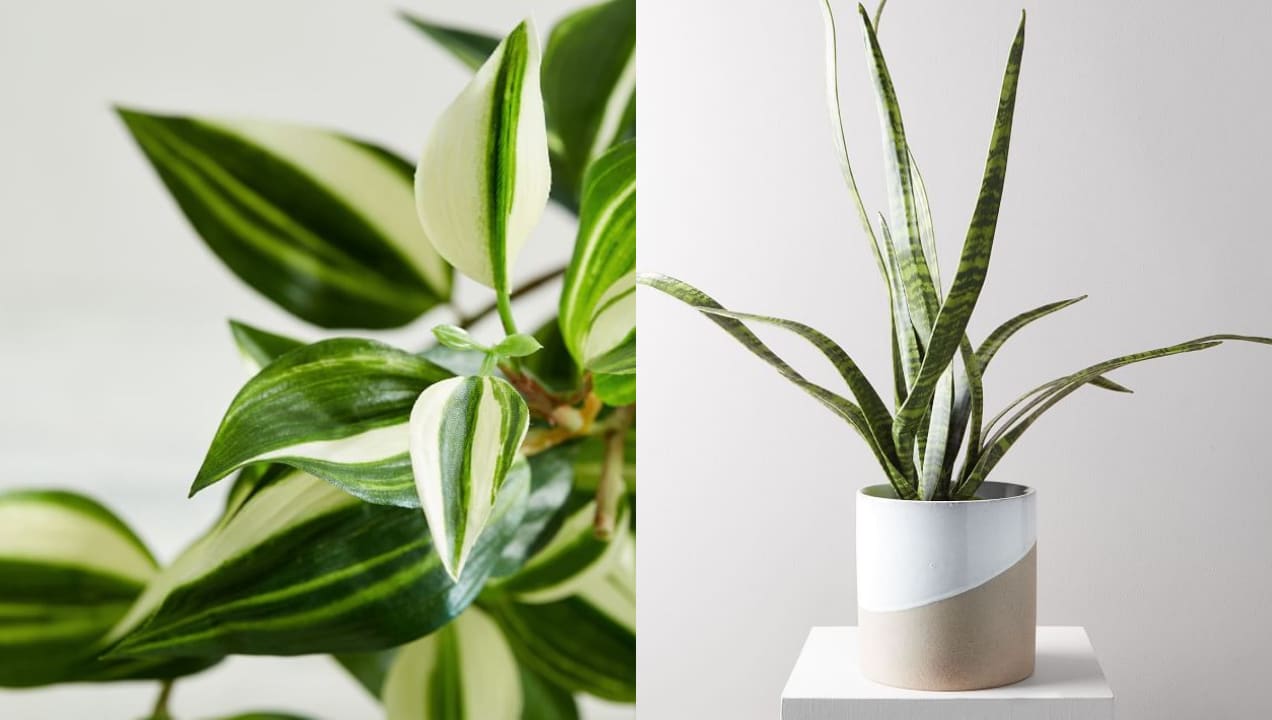 fake plant for bedside table